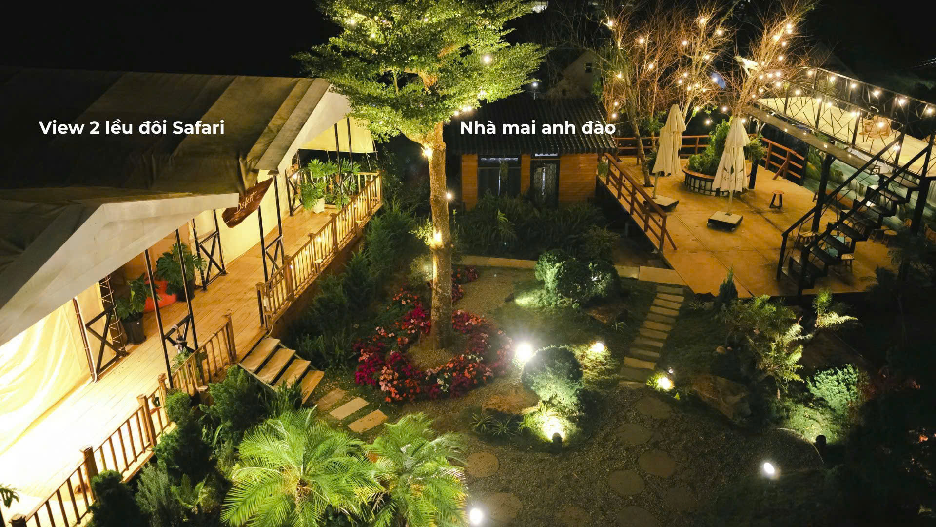 Nhà Mai Anh Đào 1