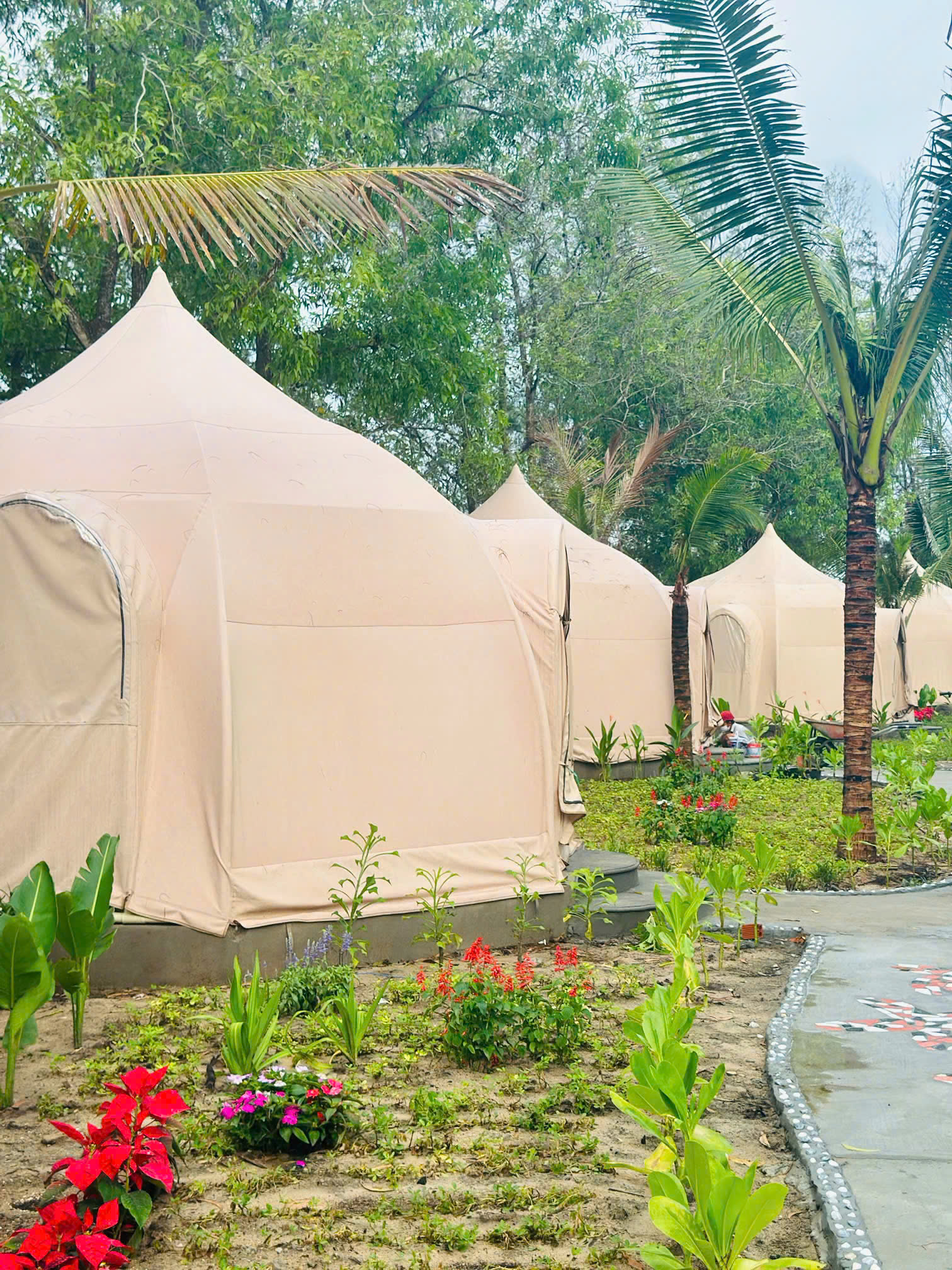 LỀU CAO CẤP COCOON HUT (MÁY LẠNH – VIEW VƯỜN) 1