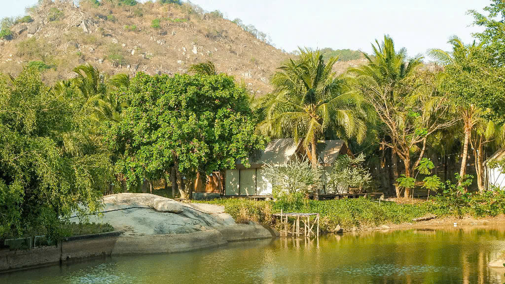 Lều Bánh Chưng 1