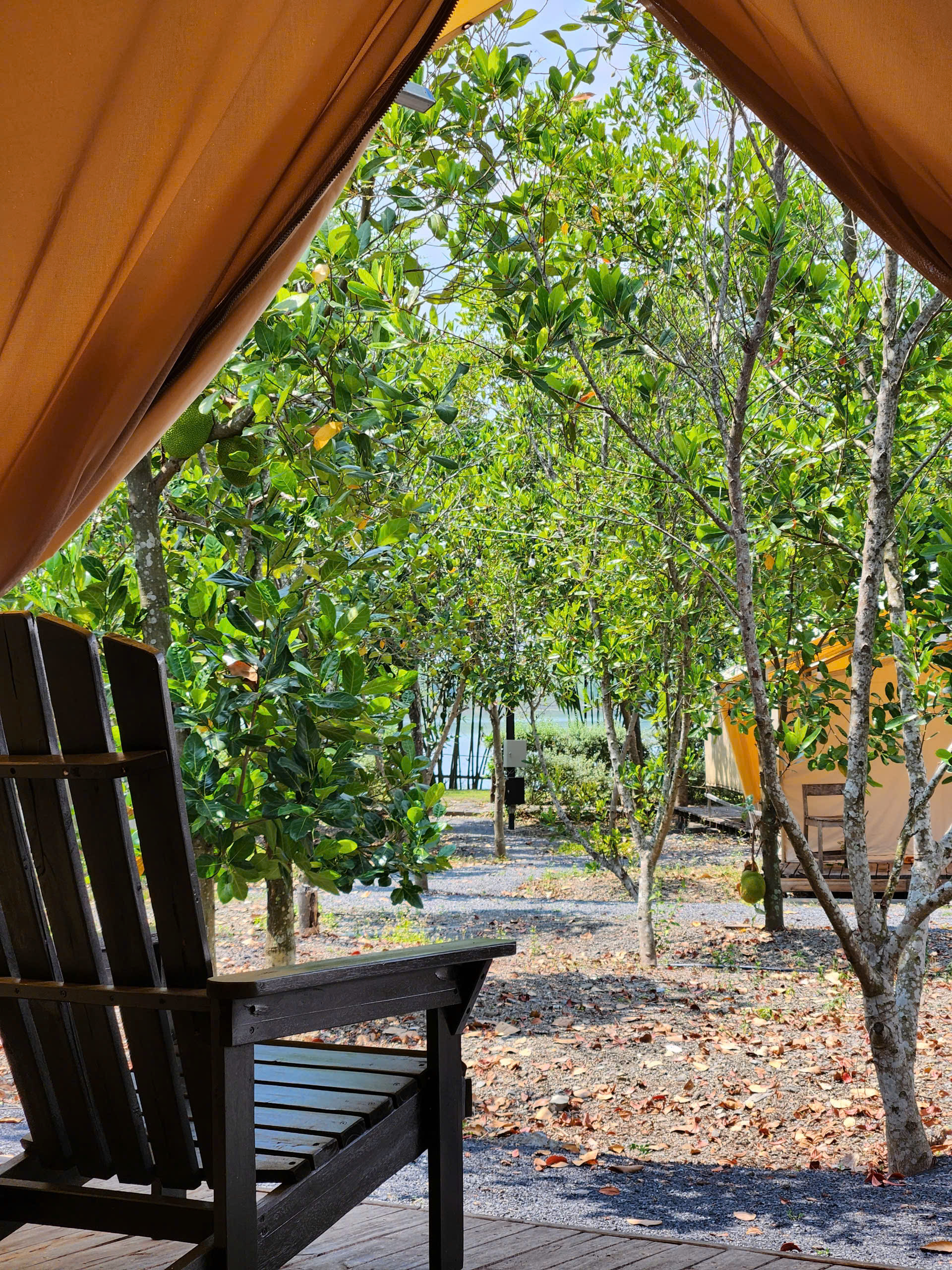Lều Safari Vườn Mít (Size Lớn) 4